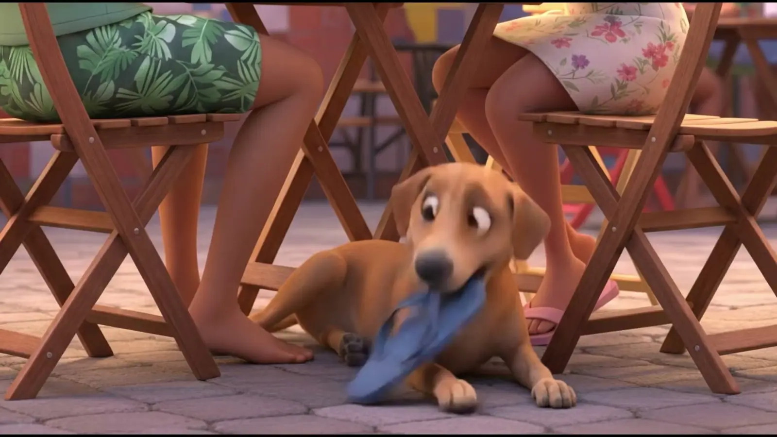 O cachorro leva o chinelo embora debaixo da mesa do bar.