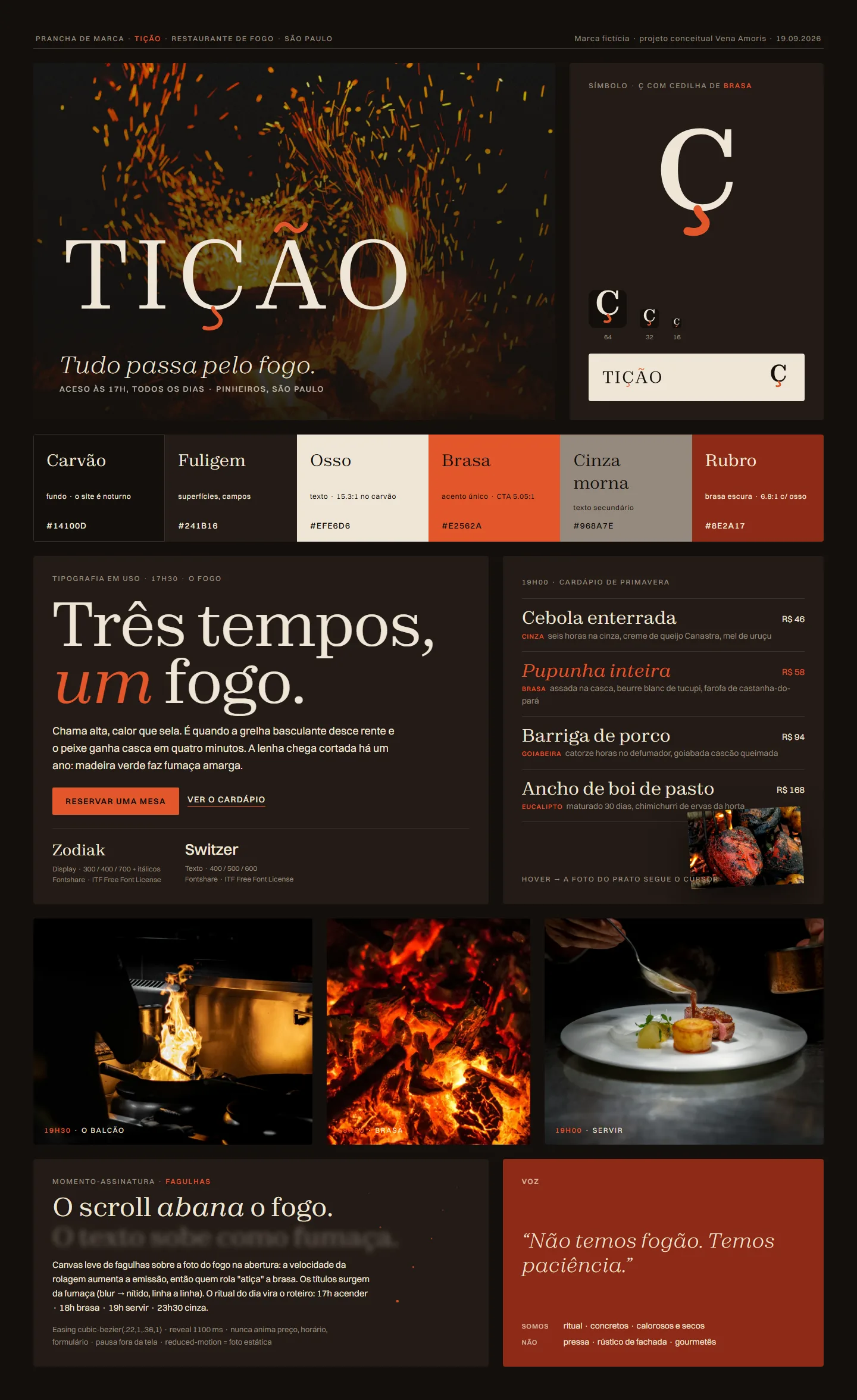 Prancha de identidade da Tição: logo, paleta e tipografia